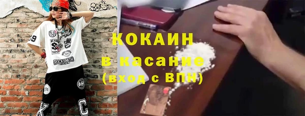 ешки Арсеньев