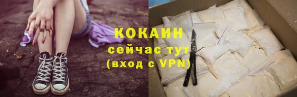 ешки Арсеньев