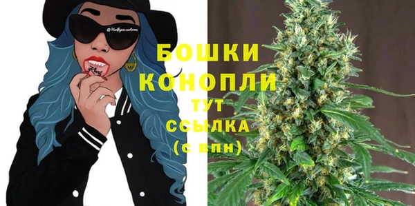 ешки Арсеньев