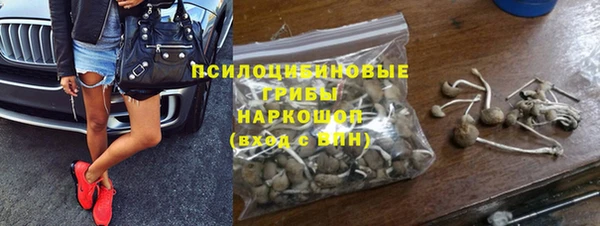 a pvp Аркадак
